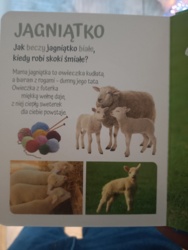 761bce99-1c32-4984-892d-d57b550d868c