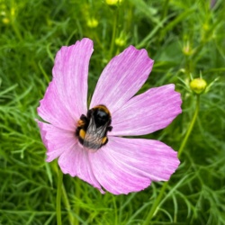 b1d54609-ebb7-4e36-91d1-34d7c9aa7b55