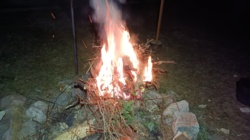 d9cb7abe-7b20-4009-a045-41667dc8ecd5