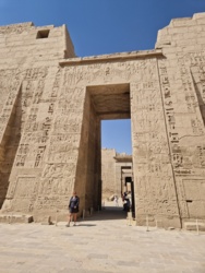 2c9145fd-253a-4bf9-8f79-d3a0db77a74b