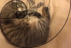 16178af1-bb46-42de-8c61-9e8d552a588d