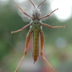 9f8a8e6e-397e-4ba8-9d7e-df9faf095c16