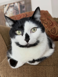 f75a627a-20a6-4298-9ba4-de4f576e5b5b