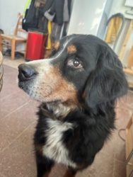 08321e8d-b524-49d1-8319-6f5fd5b7cb1b