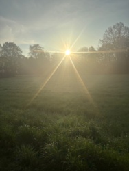 1e118038-2ddf-4de0-be4c-907af17f789b