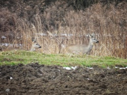 50dbab78-c399-473f-944e-bd9e572eb834