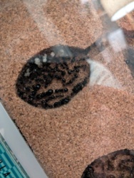 720c8c03-abf2-4703-8fe7-2d7132cd235e