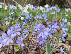 7a5b7833-116b-40ca-a465-367881d92500