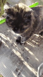 f2402159-c456-4508-ae1c-fa4a4cf3ecd0