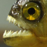 b661cc58-c3df-412f-9dfe-d6cb68737611