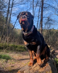 912eee41-17dc-4022-9377-d0ec14eb627d