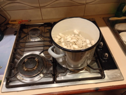 9c374417-a7af-4d1e-876f-50859fd28a2d