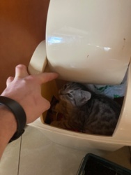 78a35aaf-ea89-4e1d-9d54-ba8d9caf9b67