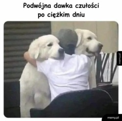 be5f90fb-8ce1-4280-9eb1-da55d06be17d