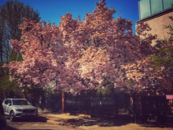 becb6a5b-9041-4e56-8604-c6d232bec6f4