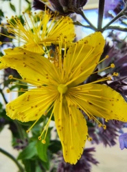 9f548b82-28e6-41c2-bcea-3148ed4c1d3a