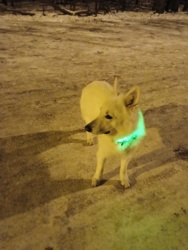 1b417a4c-65c0-436f-9d9e-444405810eae