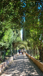 70ff7e9e-6d72-4d73-ad9d-aa535d6bc831