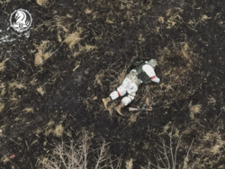 30d36042-921c-4a01-9158-0ed4d719d0ae