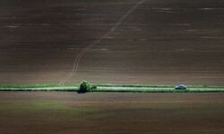 Gaz wywindował ceny nawozów. Rolnicy nie rozumieją, co się dzieje