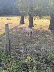 9087bee6-227e-4cd5-a239-4dfb3bb492cc