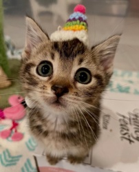 d5418376-344b-43f2-ad0a-7d769342ce6c