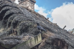 f0c22d3a-1712-46b5-ab6c-04c314541448