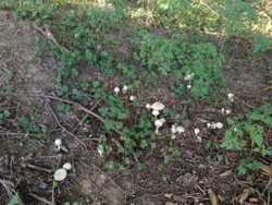 dd9d34a4-3ec0-4453-bb84-2dd4aca5281a