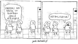 c64dbffa-6b87-4381-a6a8-947fae924531