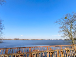 ab4ce33e-2df5-418b-9652-fc19bf3bcb19