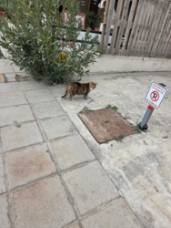 23a1e765-7f3f-46f4-9171-448ff572b1af