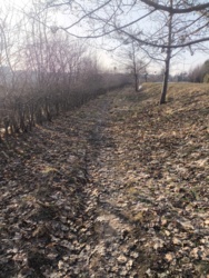 b2adf270-8987-4869-82d3-12a843163863