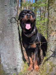 1271e49f-65fe-4664-bcb3-c4ff6bf5a7ce