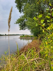 978c0f56-1861-4f1b-a38b-908d72592be8