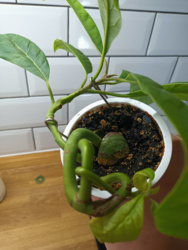 b0734ff4-2d66-48af-9fe9-a2926e4bb917