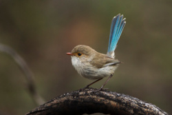 4a3036d0-f599-4bff-8d46-708a12f6570f