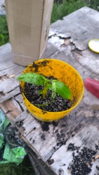 7a00705f-34f9-4e80-8c3b-55e9e32e8fe7