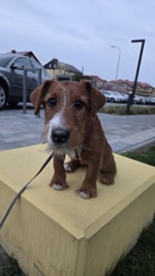 9a9268c4-6b44-45bf-9ece-0a9589b7a64d