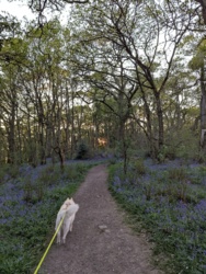 425c4b44-c998-4726-baca-3ffe43dbe6b6