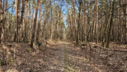 3b7007e6-1c4e-4f68-a15b-9febe28c117e