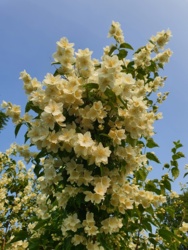 91758ff0-d240-4d6b-9c57-b515c21fabda