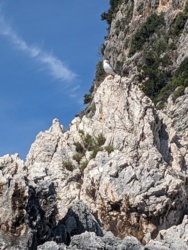 538d2006-0cf0-445b-89d6-87c371af990c