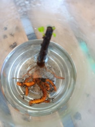 ce41a650-b6aa-4091-a637-cf18b146f5fb