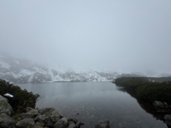 dbfb715b-ec96-4ee7-81b8-0ee6cbdfda32