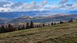 741c26b1-184f-415a-8f65-330b6c09d99b