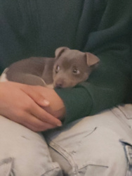 1e3e1dfa-4c56-4ab0-842e-164c70214db9