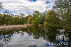 a13931eb-b55c-4eb2-8ae9-21f71c3f64bd