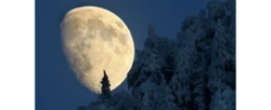Pełnia Śnieżnego Księżyca. "Czeka nas jedna z najjaśniejszych nocy tego roku"