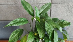 073c2388-f4e1-459b-8b91-00be2c7fff03