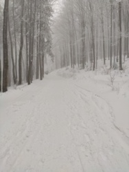 841d23c5-89ba-445a-aebb-8739cdcc0933